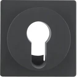 Berker 15076086 Zentralstück f Schlüsselsch. Q.x anth