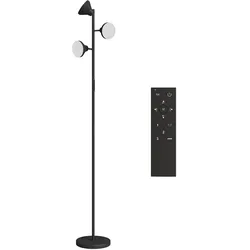 STEHLAMPE Dimmbar mit Leselampe, Stehleuchte Farbwechsel