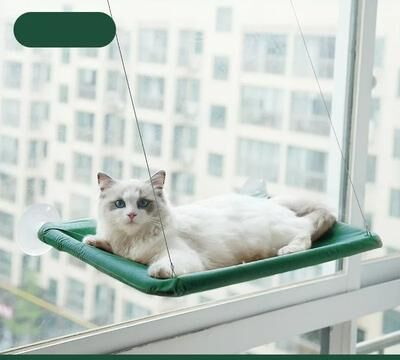 Uplift Essentials Panoramic Sunny Window Seat Cat Hammock green