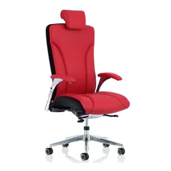 Köhl Salveo Büro Stuhl Leder mit Kopfstütze