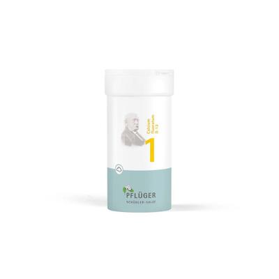 Biochemie Pflüger 1 Calcium fluoratum D 12 Pulver 100 g