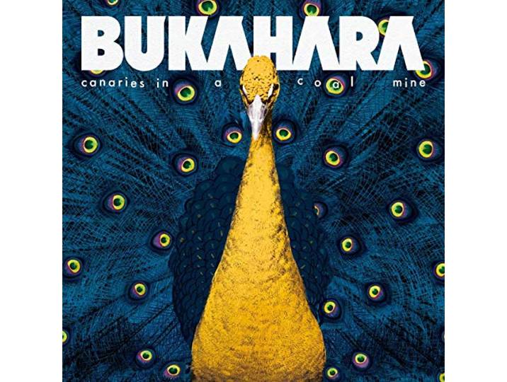 Bukahara - Canaries In A Coal Mine