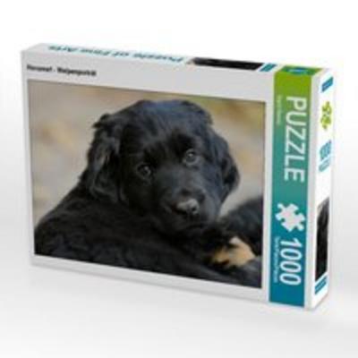 CALVENDO Puzzle Hovawart - Welpenporträt 1000 Teile Lege-Größe 64 x 48 cm Foto-Puzzle Bild von Sigrid Starick