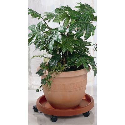 Blumentopfuntersetzer RUCO "- Aufstellfläche bzw. Innenmaß ca. 30 cm", orange (terrakotta), H:9cm Ø:34cm, Kunststoff, Untersetzer, Kunststoff, Ø 34 cm
