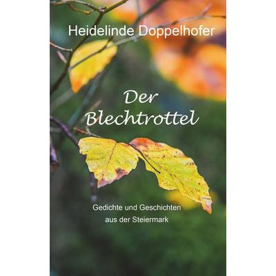 Der Blechtrottel, Taschenbuch von Heidelinde Doppelhofer, Buchschmiede, 978-3-99165-809-2