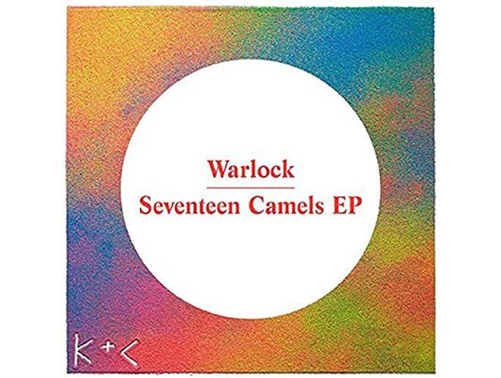 Seventeen Camels