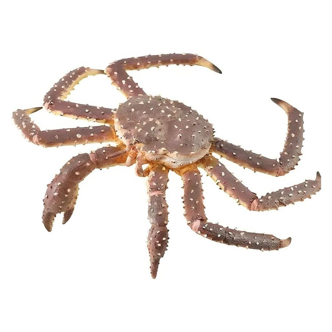 Collecta Königskrabbe (004-88851)