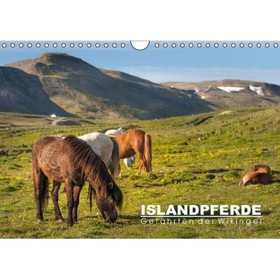 Islandpferde: Gefährten der Wikinger (Wandkalender immerwährend DIN A4 quer)