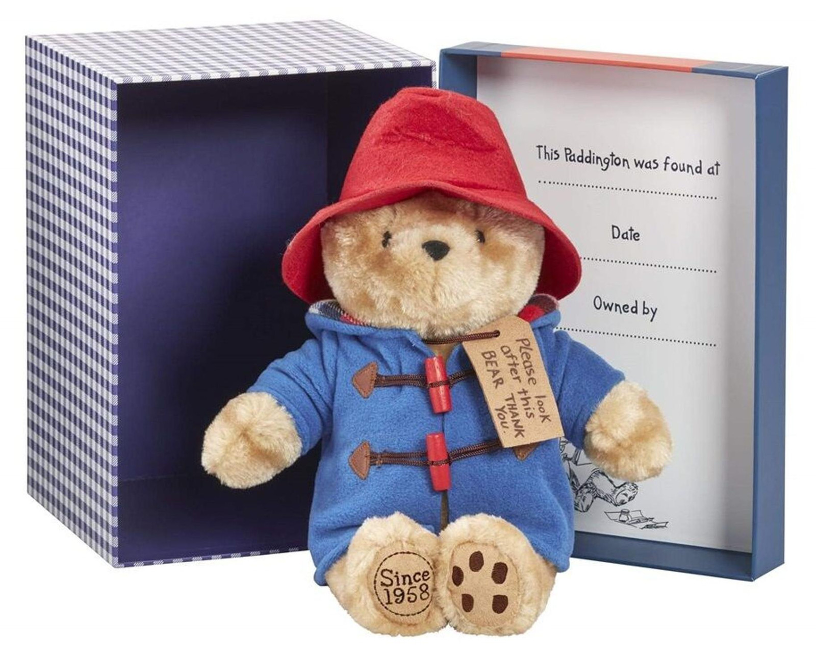 Rainbow Pluche Paddington in cadeauverpakking