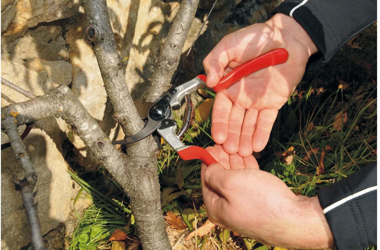 Gartenschere FELCO "12", rot (stahlgrau, rot), Scheren, Gartenschere stahlgrau, rot Einheitsgröße