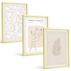 BILDER SET 3er Set - 40x60 cm Goldrahmen - Minimalistische botanische Motive
