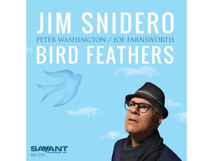 Bird Feathers