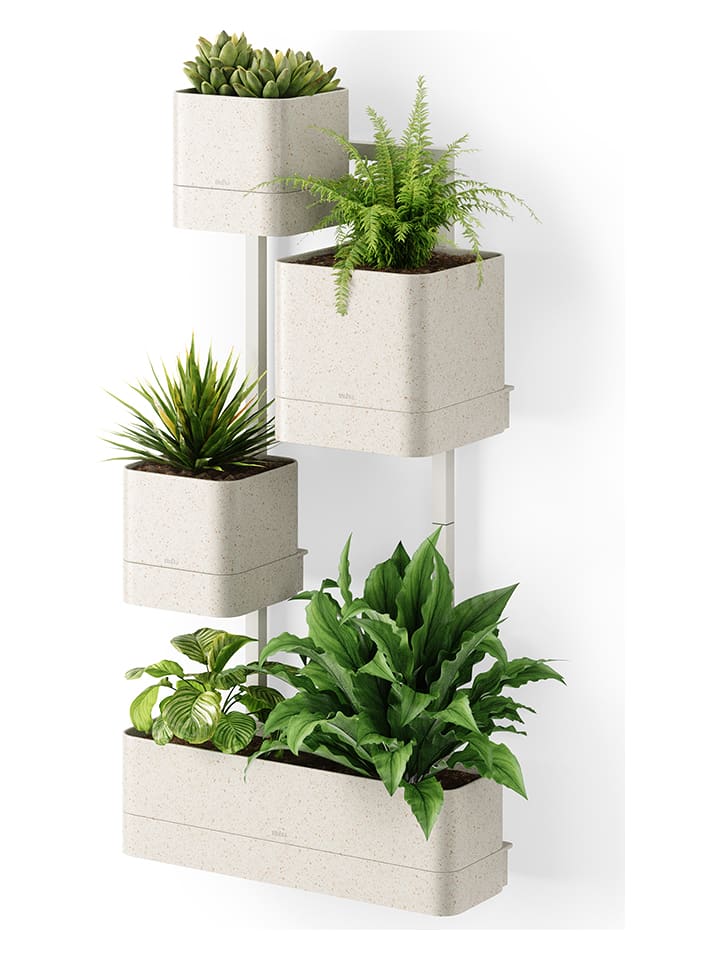 umbra Wandpflanzgefäß in Beige - (B)36 x (H)72 x (T)18 cm - onesize