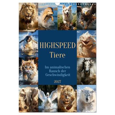 Highspeed Tiere (Wandkalender 2027 DIN A3 hoch), CALVENDO Monatskalender