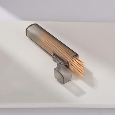 Inspire Daily Merch Compact Travel Toothpick Case, Portable Storage For Toothpicks On The Go 1pc