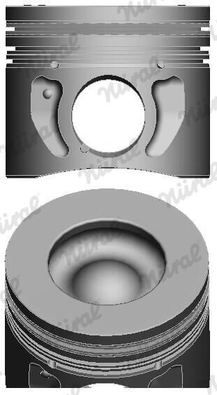 Nüral Kolben 8714810085 Für Ford