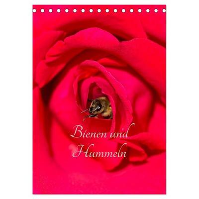 Bienen und Hummeln (Tischkalender 2027 DIN A5 hoch), CALVENDO Monatskalender