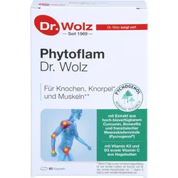 Phytoflam Dr. Wolz 60 ST