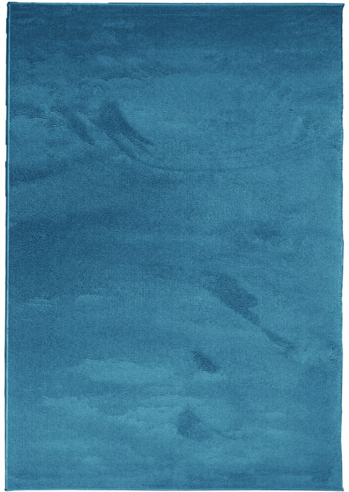 Canora Grey Audric Area Rug Turquoise Rectangle 200 x 280cm