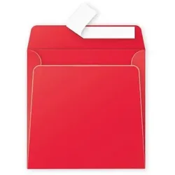 Pollen 200x Pack 20 Umschläge Pollen, 165x165mm, 120g - Johannisbeere 55583C
