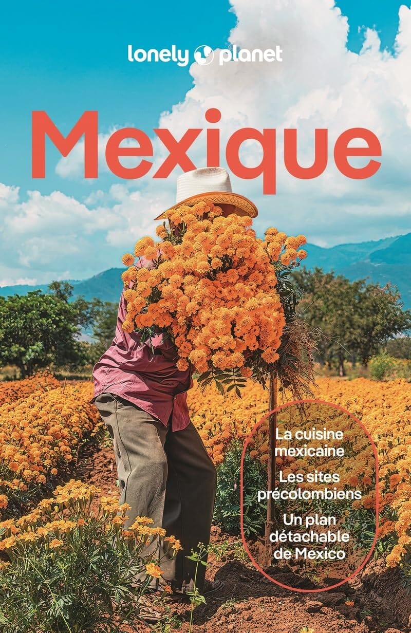 Guide de voyage - Mexique 2026   Lonely Planet