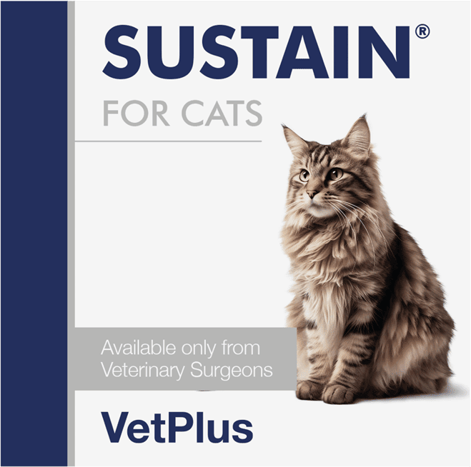 Vetplus Sustain para Gatos 30 sachês