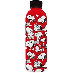 Kids Licensing, Trinkflasche + Thermosflasche, (0.80 l)