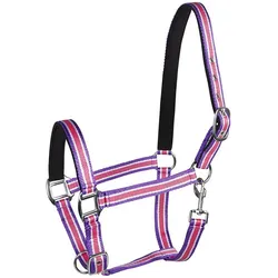 PFIFF 101517-181-Full Kunststoffhalfter unterlegt Größe WB/Full pink/weiß/lila