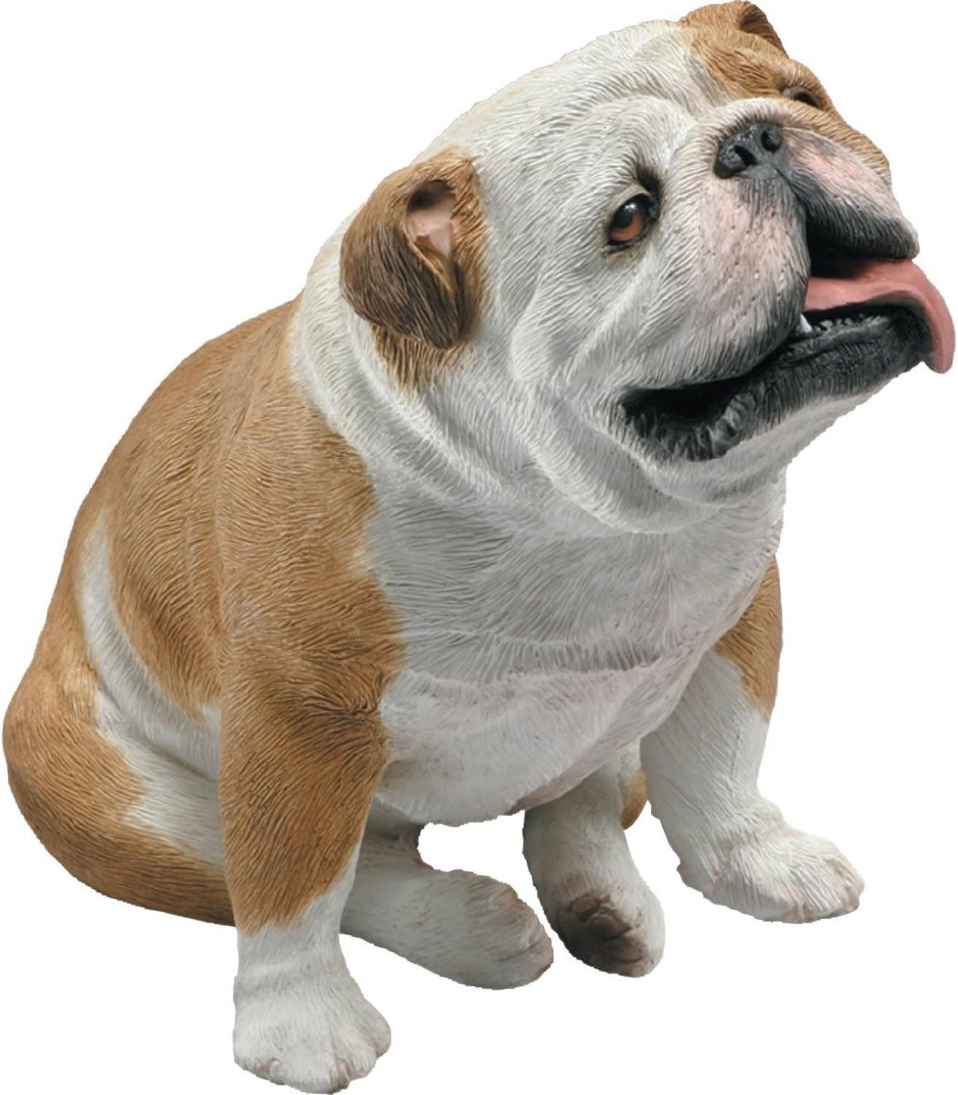 Bruin Bulldog beeld sculptuur voor woondecoratie - 23 x 13 x 18 cm