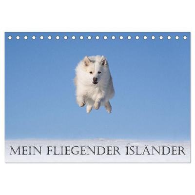 Mein fliegender Isländer (Tischkalender 2027 DIN A5 quer), CALVENDO Monatskalender