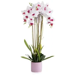 ABELLA Flora künstliche Orchidee Realtouch-Blüten Höhe 100cm