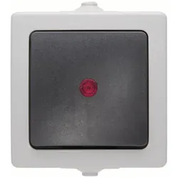 Kopp 566656002 Kontrollschalter AP-FR beleuchtet10AX 250V IP44 Nautic grau