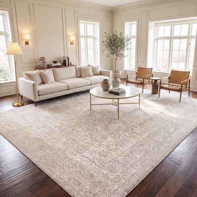 SAFAVIEH Reflection Nedelja Charming Oriental Rug