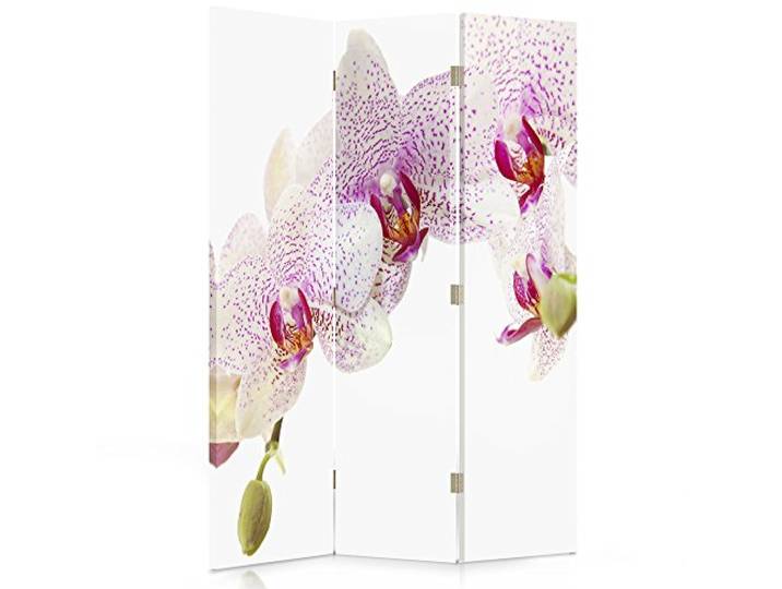 Feeby Paravent Orchidee 110x150 cm 3 Teilig Modern Design einseitig Raumteiler Wandschirme Foto Trennwand Raumtrenner Sichtschutz Spanische Wand auf Leinwand Bedruckt Weiß Rosa