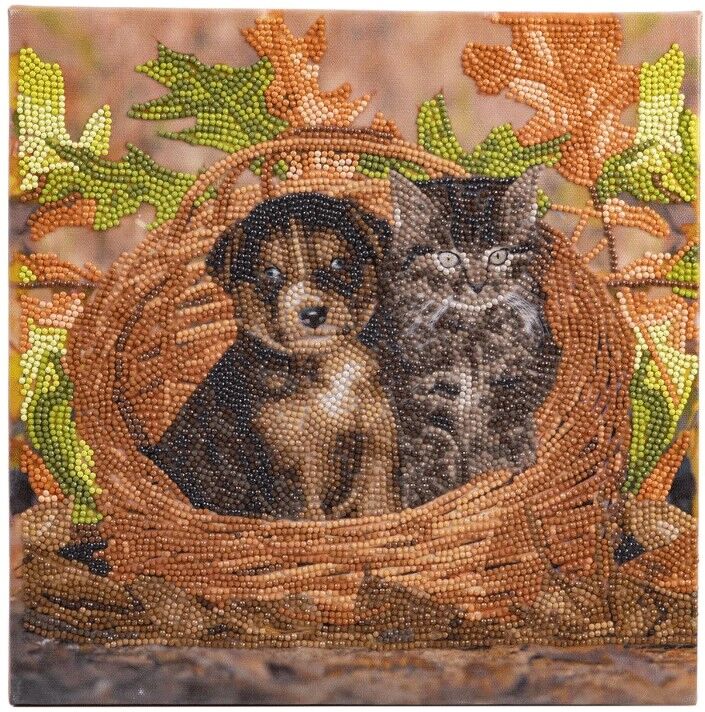 CRYSTAL ART Kit tableau broderie diamant 30x30cm - Chat & chien panier