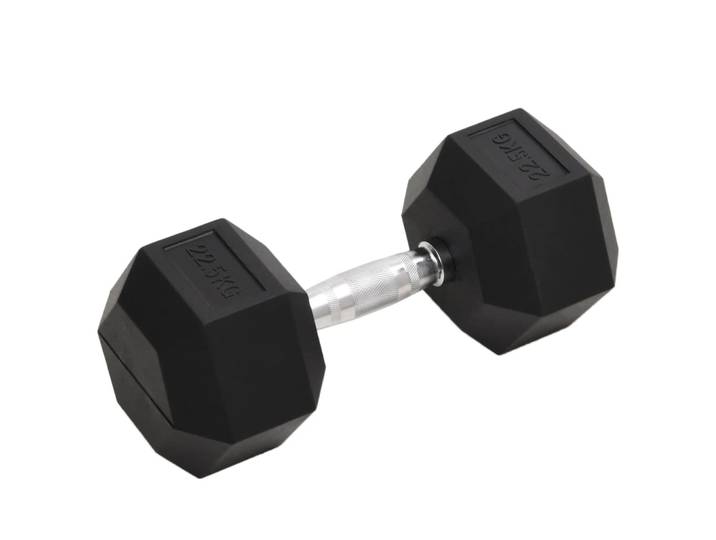 vidaXL Kurzhantel 22,5 kg Gusseisen