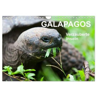 Galapagos. Verzauberte Inseln (Wandkalender 2027 DIN A4 quer), CALVENDO Monatskalender