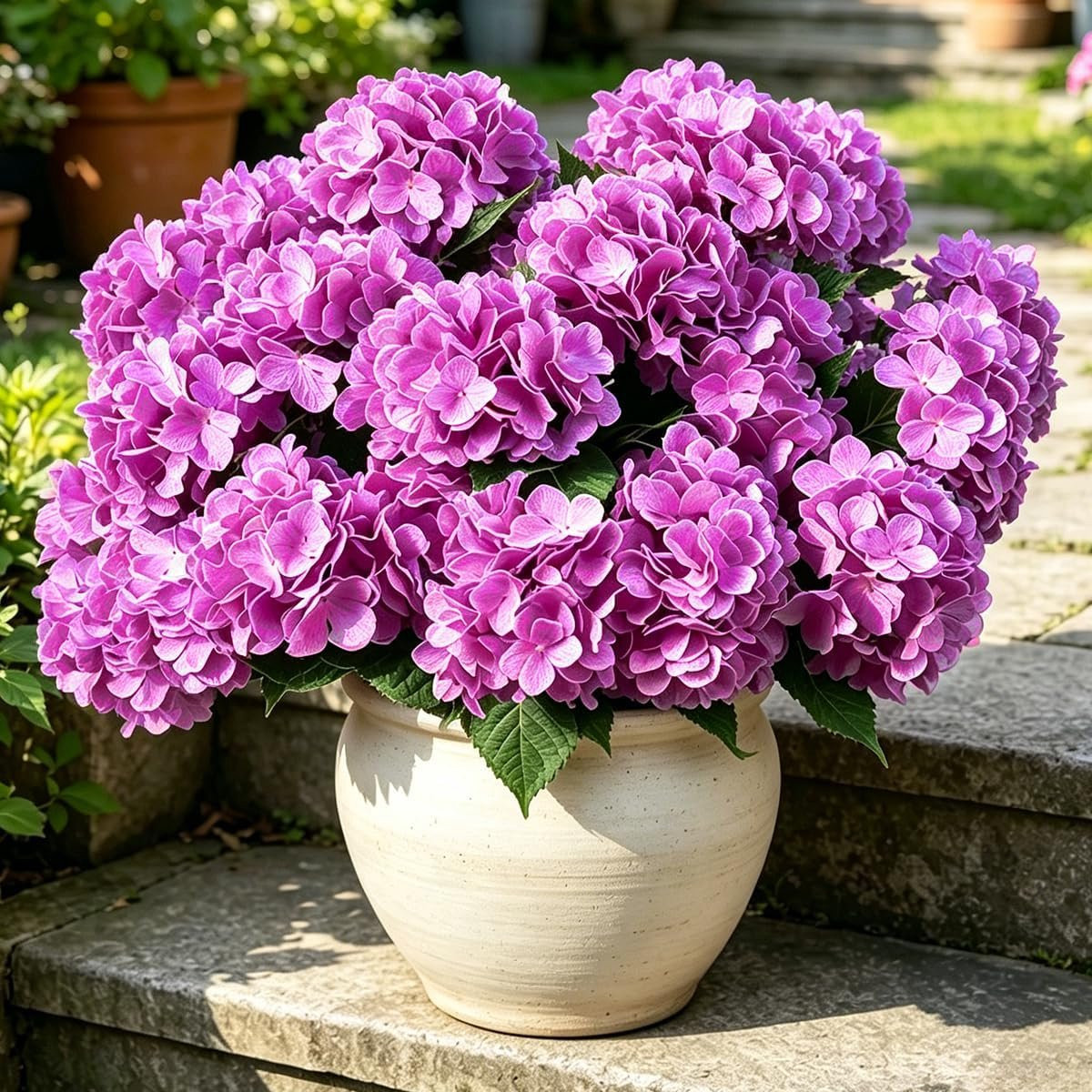 SnelShoppen Set van 3 Grote Kunsthortensia's Felroze, Hoogte: 45 cm
