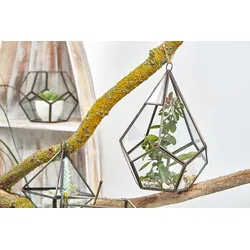Glass Terrarium - Large Pyramid