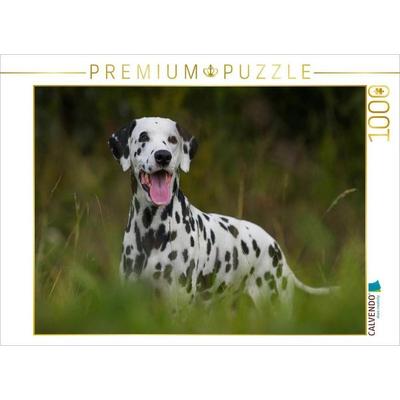 CALVENDO Puzzle Dalmatiner | 1000 Teile Lege-Größe 64x48cm Foto-Puzzle für glückliche Stunden
