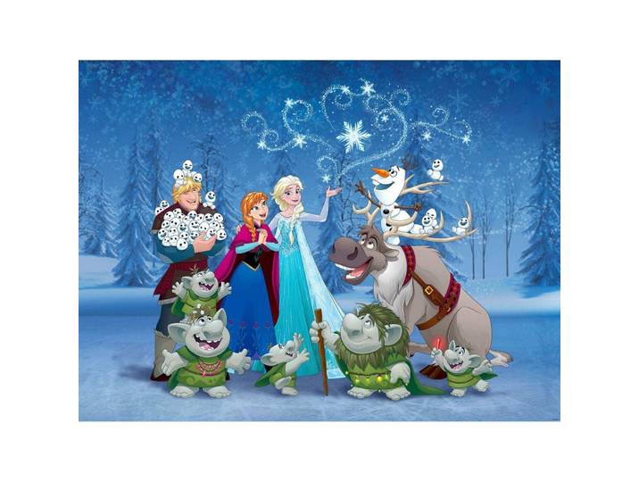 Papier Peint Xxl Intisse La Reine Des Neiges Et Les Trolls Disney Frozen 360x270 Cm