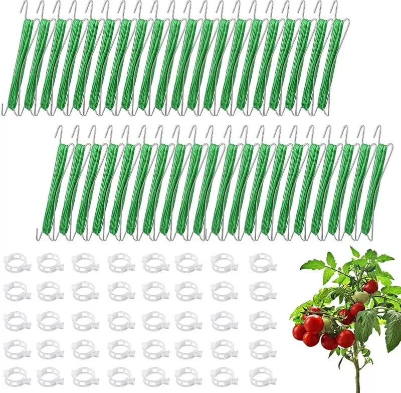 INF Tomatenhaken 40er-Pack – Pflanzenstütze für Tomaten, Gurken und Kletterpflanzen