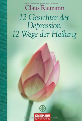 Claus Riemann - 12 Gesichter der Depression - 12 Wege der Heilung - Preis vom 18.10.2026 15:28:09 h