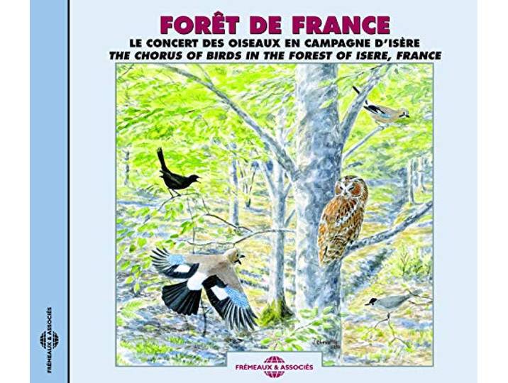 Foret de France. le Concert des Oiseaux en Isere -