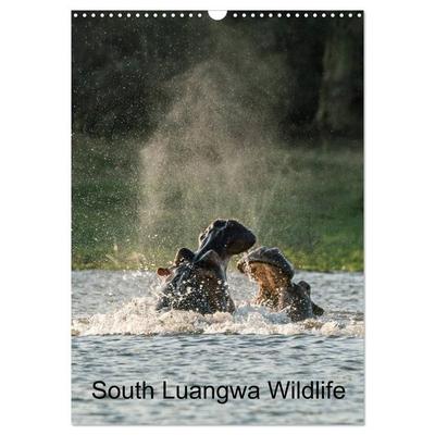 South Luangwa Wildlife (Wall Calendar 2027 DIN A3 portrait), CALVENDO 12 Month Wall Calendar