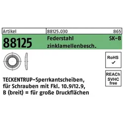 Teckentrup, Muttern + Unterlegscheiben, Sperrkantscheibe R 88125 B 8x22,25x1,9 Federstahl zinklamellenbeschichtet