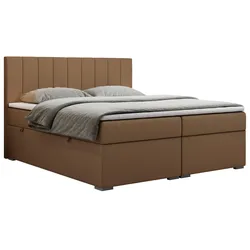 BOXBETT LOPE 180/200 - Braun Kunstleder - H4