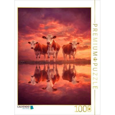 CALVENDO Puzzle Alles spiegelt sich neu und der Kreislauf beginnt von vorn | 1000 Teile Lege-Größe 64x48cm Foto-Puzzle für glückliche Stunden