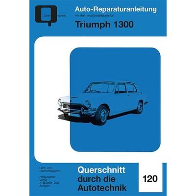 Triumph 1300