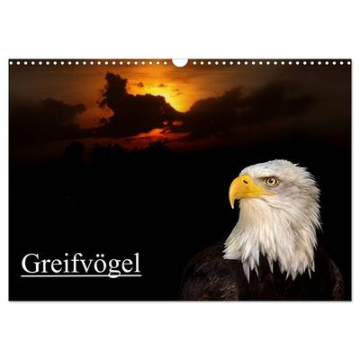 Greifvögel (Wandkalender 2026 DIN A3 quer), CALVENDO Monatskalender